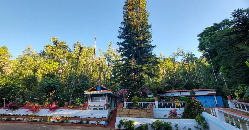 Suraksha homestay in chikmagalur